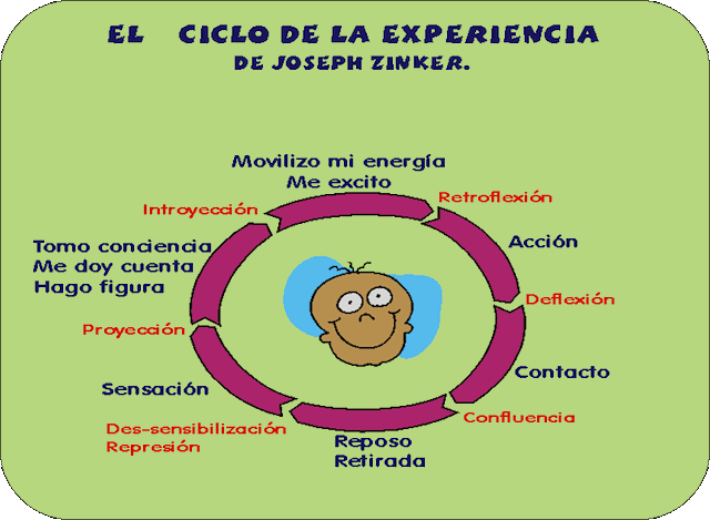 ciclo experiencia
