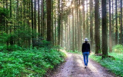 El contacto con la naturaleza es un buen ansiolítico