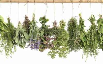 Fitoterapia y ansiedad