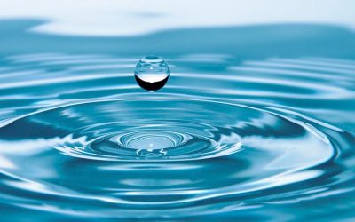 Aprender a fluir: la clave de la armonia.