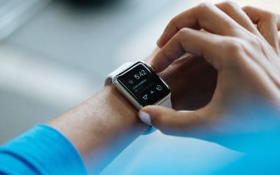Los ritmos circadianos: Nuestro reloj interno.