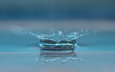 Vacía tu taza. Sé como el agua…