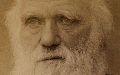 La agorafobia de Darwin