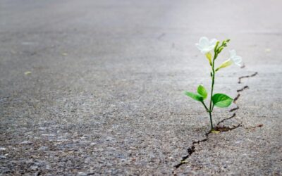 Resiliencia en tiempos de coronavirus