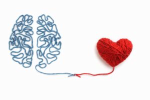 la conexión entre el cerebro y el corazón