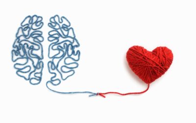 La conexión entre el corazón y el cerebro