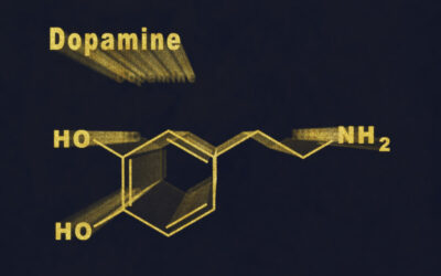 La dopamina no produce placer